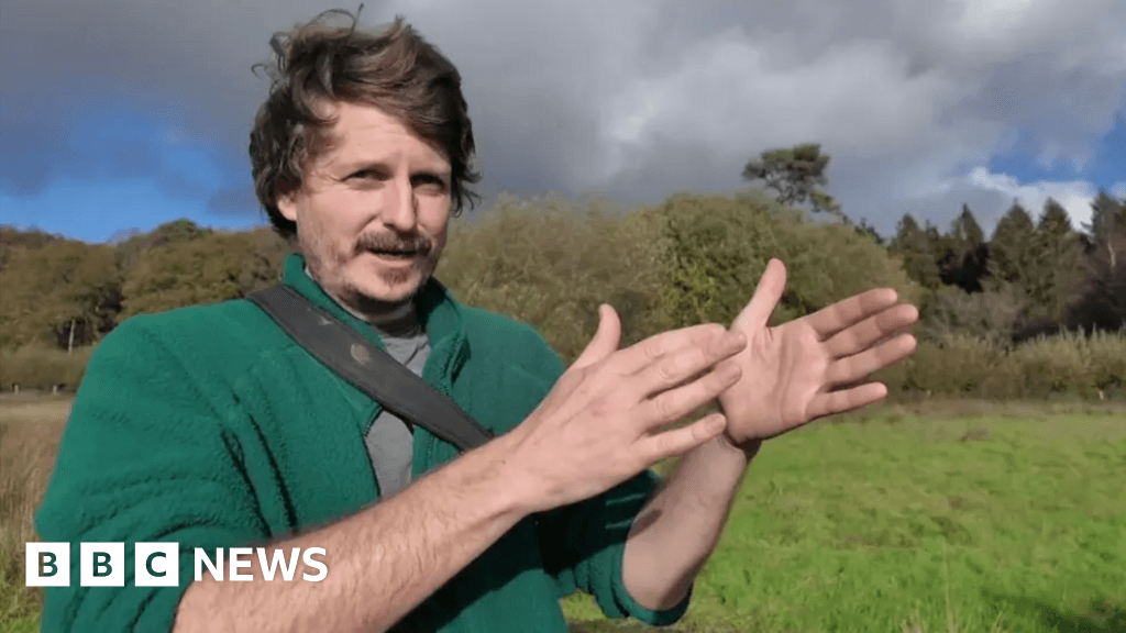 Can River Restorations Help Reduce Flooding Risks?