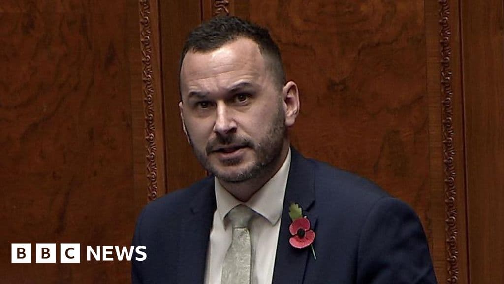 TUV MLA Faces Two-Day Suspension Over 'Breathe' Remark to Committee Chair