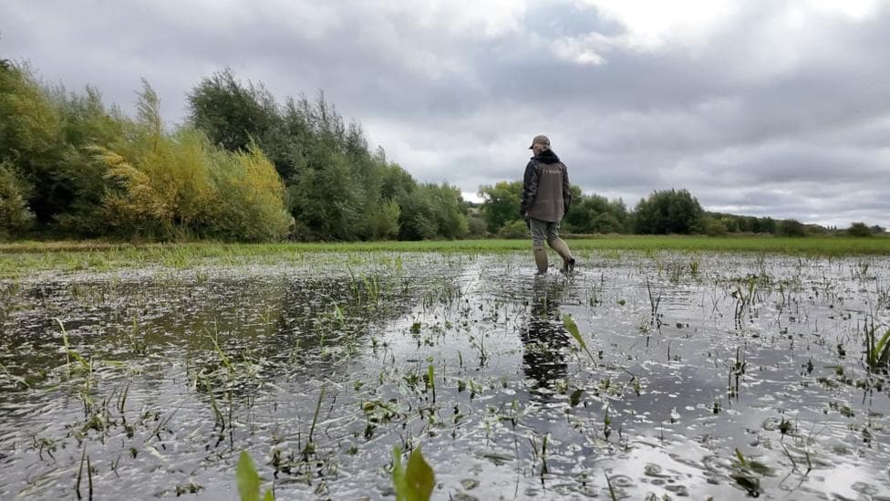 A woman in a waterproof jacket and boots wades through standing water in a field near trees