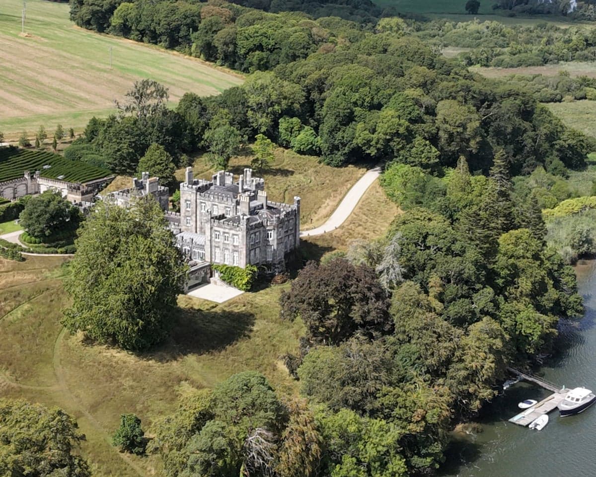Aerial view of the gothic-style mansion and the woodland area around it