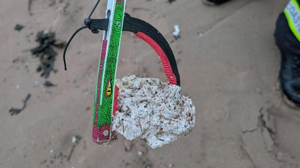 A man using a litter picker holds a white, waxy lump while standing on a sandy beach