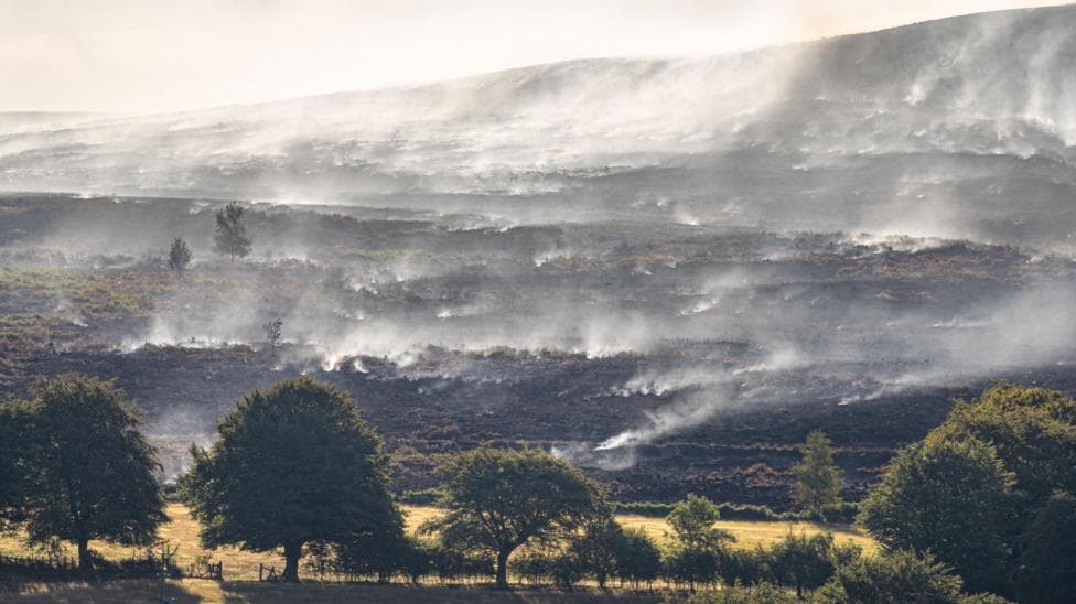 Smoke from a wildfire is blowing across a blackened mountainside with a few trees in the foreground which haven't been burnt.