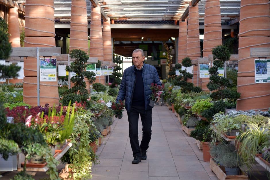 Senior man exploring a vibrant garden center filled with diverse plants and greenery.