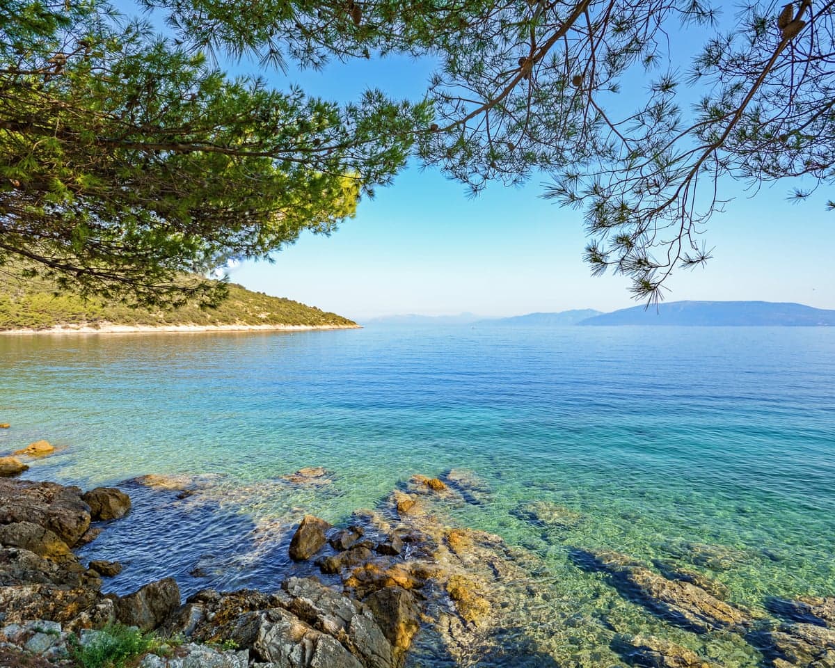 Pine branches frame a rocky Cres island shoreline overlooking a clear turquoise sea
