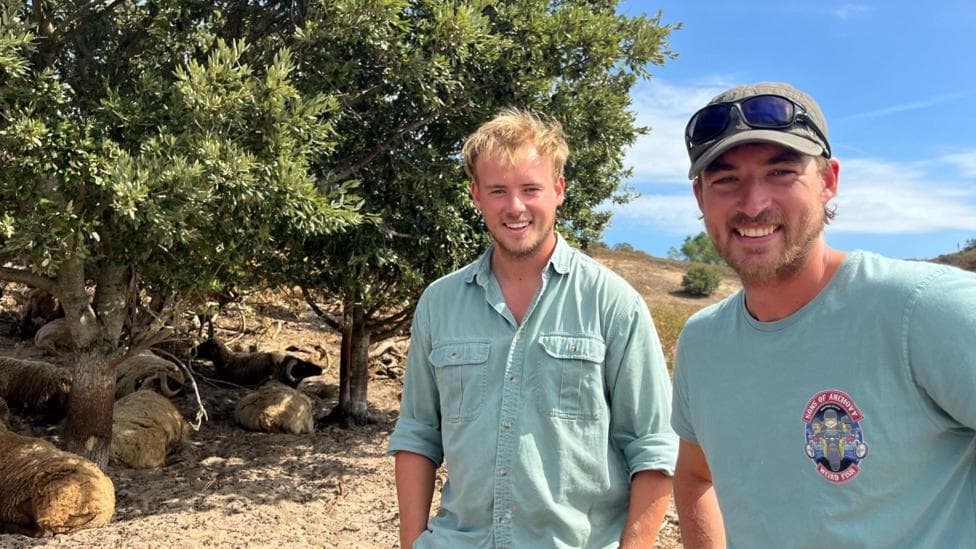 Two young men stand in a dry, rural landscape beside a large leafy tree, with several sheep resting in the shade beneath it. One person wears a light green button-up shirt and shorts, while the other wears a light blue T-shirt and a cap with sunglasses on top. The scene is brightly lit by sunshine, with rolling hills and a blue sky in the background.