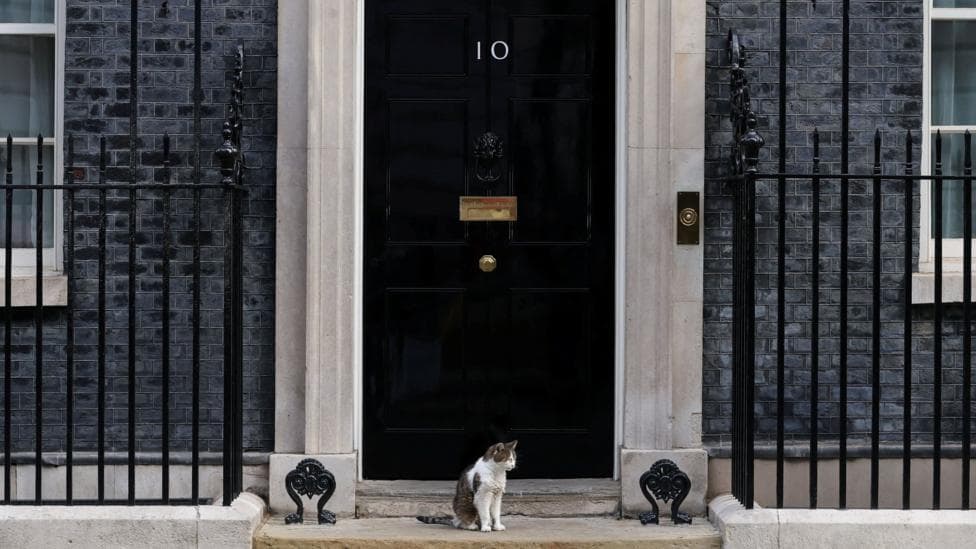 10 Downing Street. The black door featuring the "10" lettering and letterbox is closed, with Larry the Cat sat on the doorstep in front of it.
