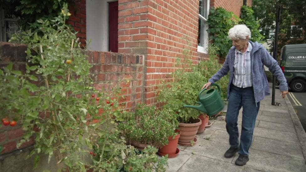 Katharine Hoskyns with white hair carries a green watering can along a pavement lined with terracotta pots of tomato plants and herbs beside a red brick house.