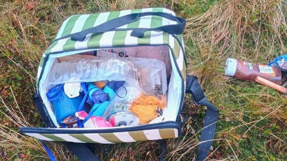 An open lunch bag filled with plastic containers, food leftovers and maggots, sat on a patch of grass.