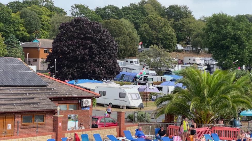 This is an image of Lady's Mile Holiday Park. There are rows of caravans and tents parked on grass, with trees behind. In the foreground are blue sun loungers, a few with people on them.