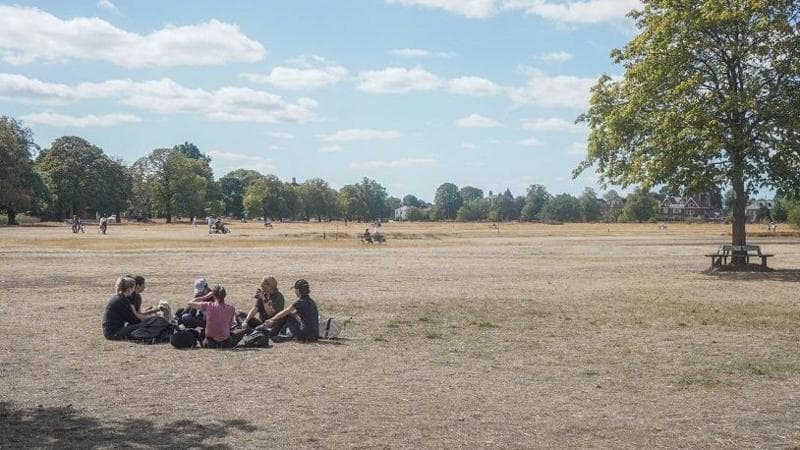 A group of people sit in a circle on straw-like dry grass. There are trees in the background and blue sky