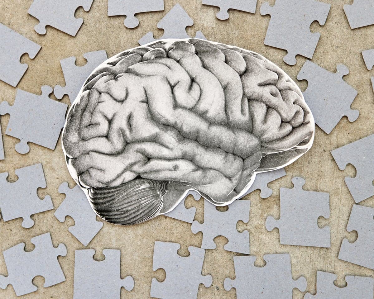 Brain drawing with scattered puzzle pieces representing memory loss