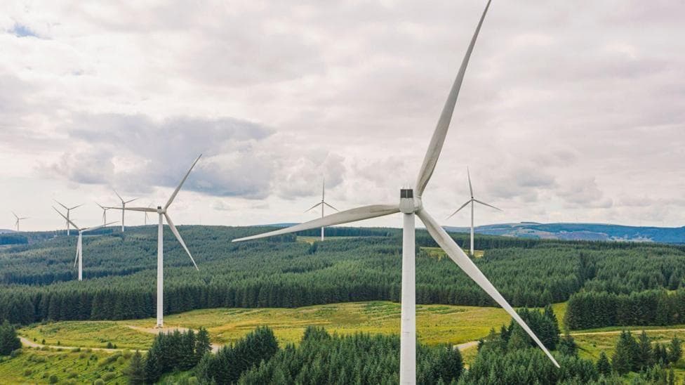 An onshore windfarm, with a number of turbines visible over a wooded landscape, with hills in the background.