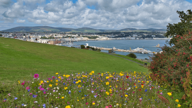 Wildflowers sit in the foreground overlooking Douglas Harbour and city. Mountains are in the background.