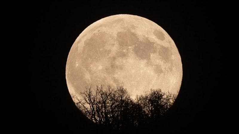 The November full moon shines bright white in a black sky, with the outline of tree branches in the foreground.