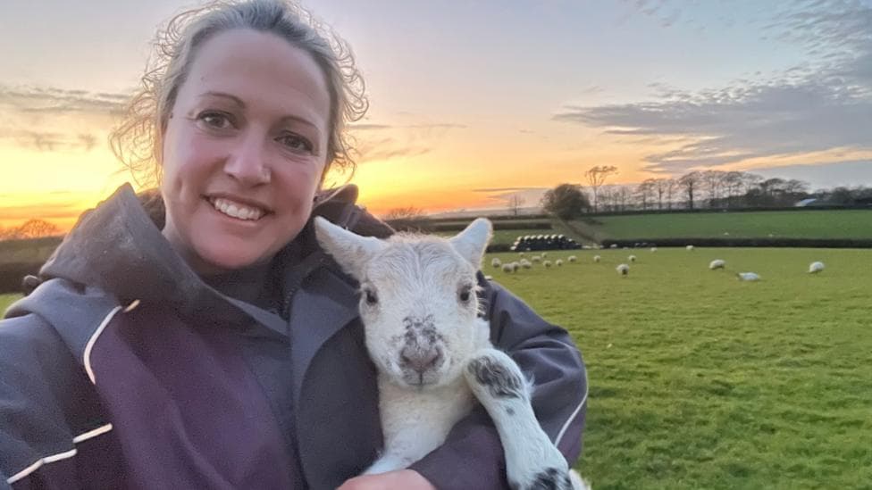 A person is taking a selfie while holding a young lamb in a grassy field at sunset. The lamb is white with dark markings on its nose and legs, and in the background there are several sheep scattered across green pasture, hedgerows, trees and a colourful orange and blue evening sky stretching across the horizon.