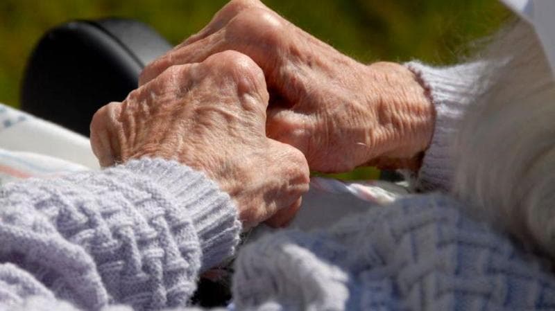 A photo of an elderly person's hands which are resting on their lap and on the arm of a black chair. The person is wearing a purple knitted jumper.