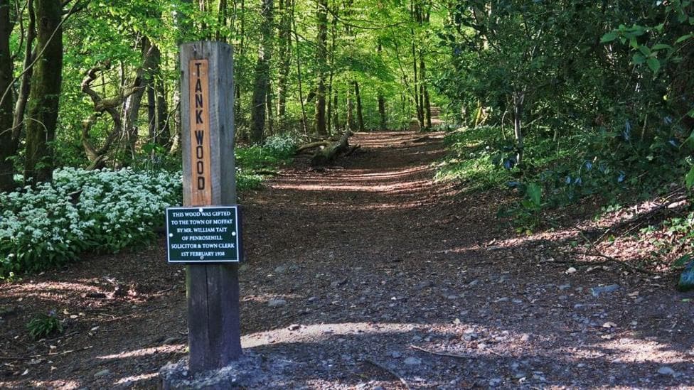 A sign saying Tank Wood next to a path through a wooded area