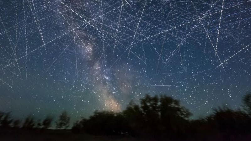 The photo shows a starry night sky. It shows various beams of light which are pointing in different directions. The silhouettes of various trees line the bottom of the photo.