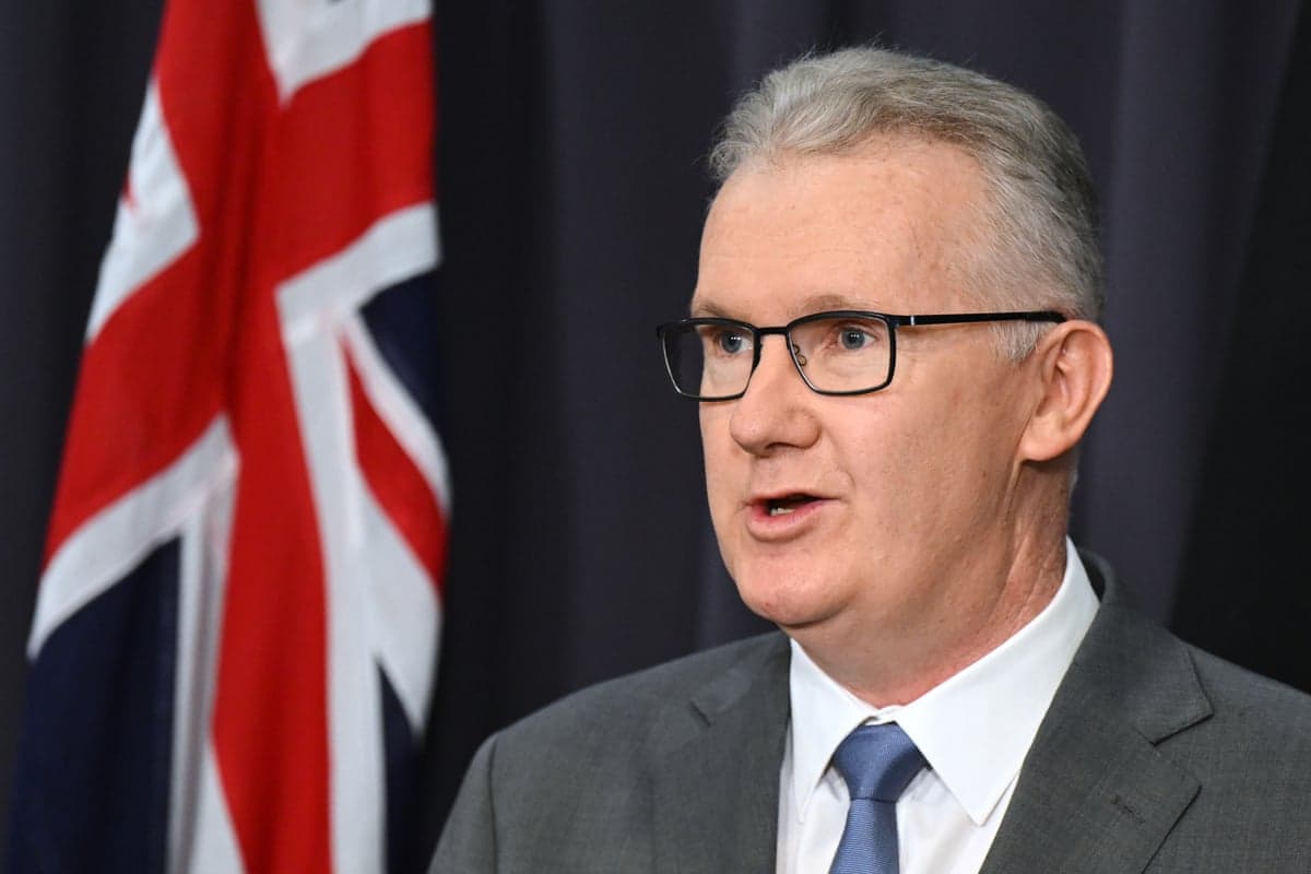 The minister for immigration Tony Burke