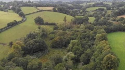 An aerial view of the reserve which is covered in trees, bushes and green countryside.