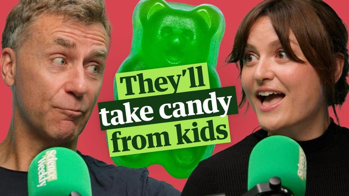 Who’s more likely to steal sweets from a child? According to science, it’s the rich. A study seemingly confirming our suspicions about the moral behaviour of the wealthy was one of the winners of the 2026 Ig Nobel prizes, which honour research that makes you laugh and then think. Science editor Ian Sample tells Madeleine Finlay what the researchers think could be behind the phenomenon, and they explore some of the other awards, including one for a surprising quality we look for in our friends and another for a biomechanical definition of kissing