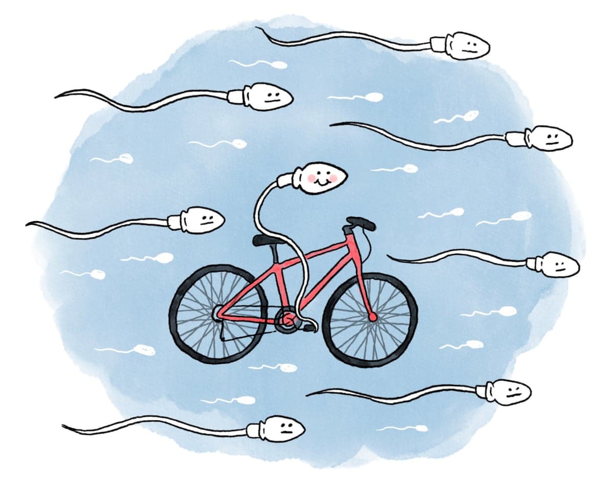 Cartoon sperm cells with smiling faces swim around a red bicycle, one is riding the bicycle
