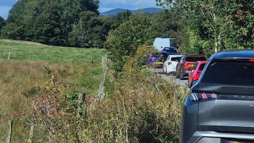 A queue of traffic on a single track road. Trees line both sides of the road and there is a fence on the left.
