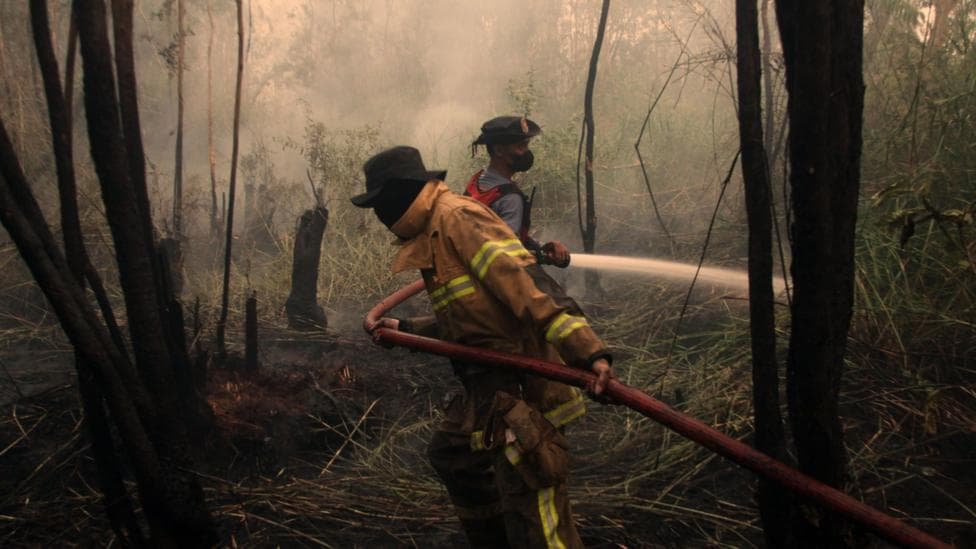 Two firefighters spray water from a hose on to smouldering crops and trees, with smoke filling the air.