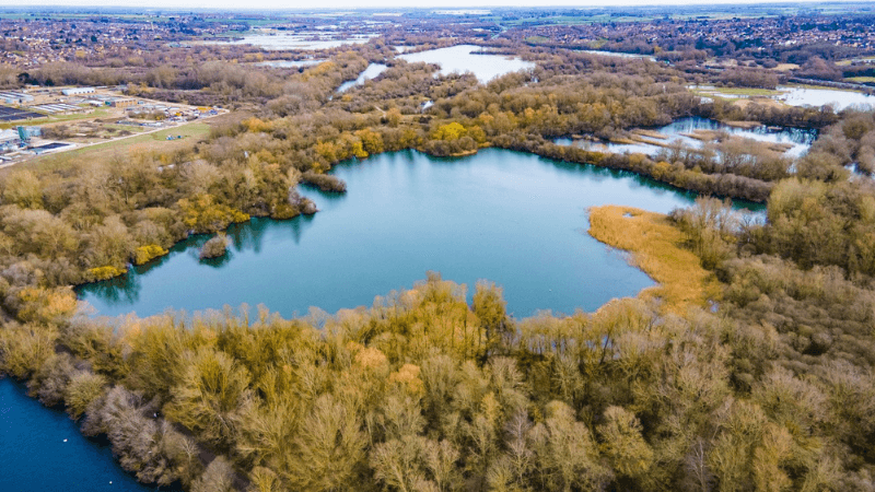 A wildlife area, with trees, bushes and small areas of water. Buildings are to the left of the picture and in the distance.