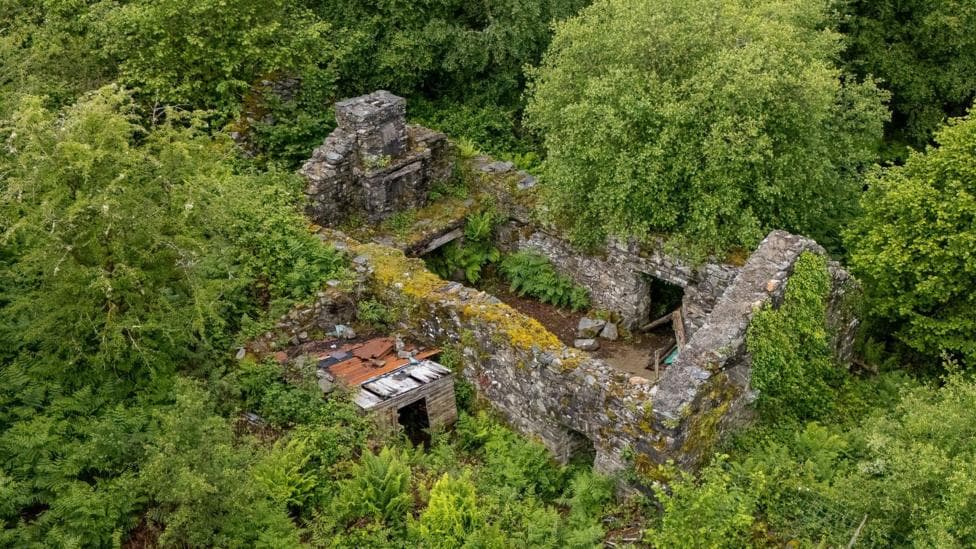 An aerial photo of a ruins of a roofless stone building surrounded by dense woodland and ferns. Moss and ivy cover parts of the crumbling walls, with a small corrugated-roof shed beside along one wall peaking out of the greenery