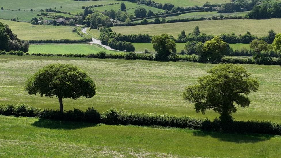 A large farmland, with lots of trees in it, with bushes and hedges. There is also a road running through it and houses in a valley below.
