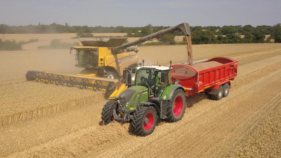 A large tractor on a field of crops. It is a large field and there are trees in the background