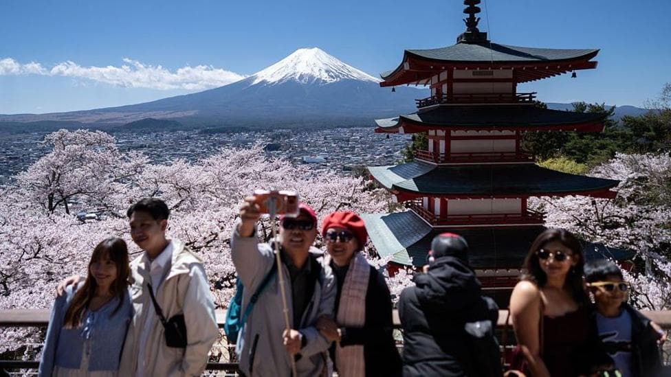 Tourists pose for photographs in front of cherry trees in bloom while Mount Fuji is seen in the background
