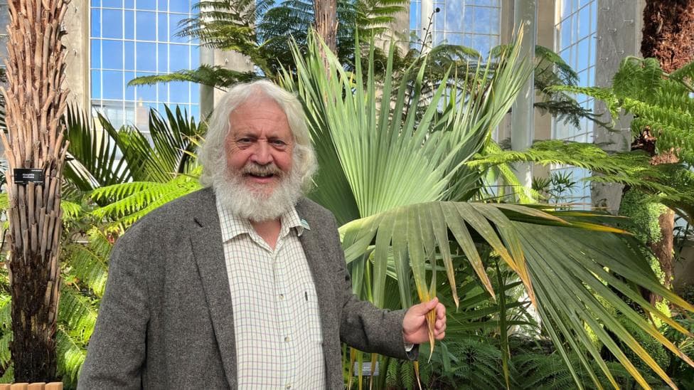 An image of a mature man, with longish white hair and a white beard, smiling as he stands beside a palm tree in side a big glass house.