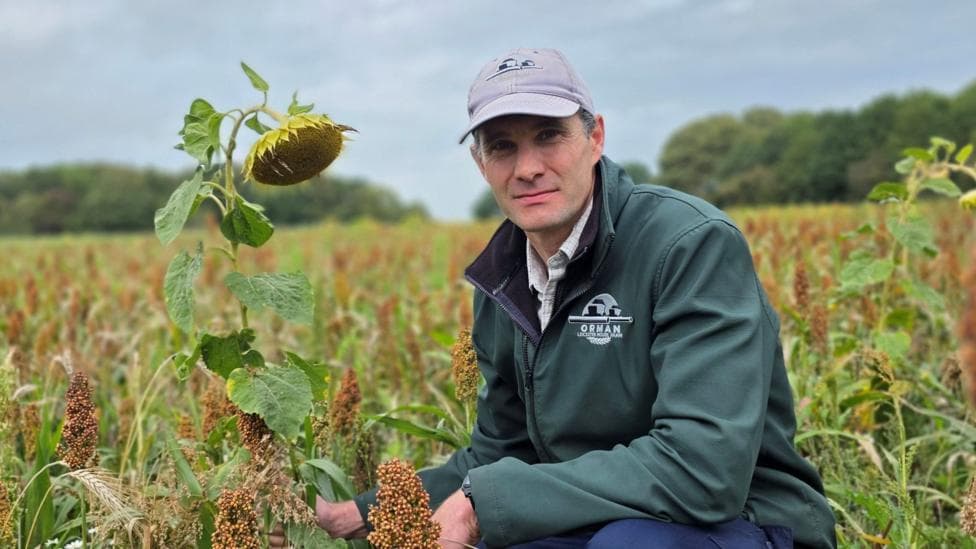 A man crouches in a mixed crop field beside a drooping sunflower, with rows of other plants stretching into the distance beneath a cloudy sky. The rural landscape is softly blurred, drawing attention to the foreground plants and agricultural setting.