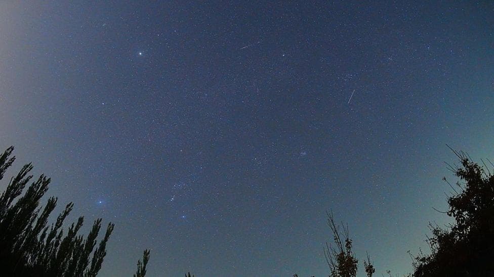 Two meteors streak thorugh a star-strewn night sky, with the silhouettes of trees to the left and right