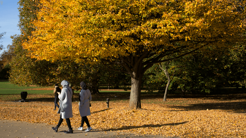 Two women walk along a path in a park in London surrounded by autumn leaves