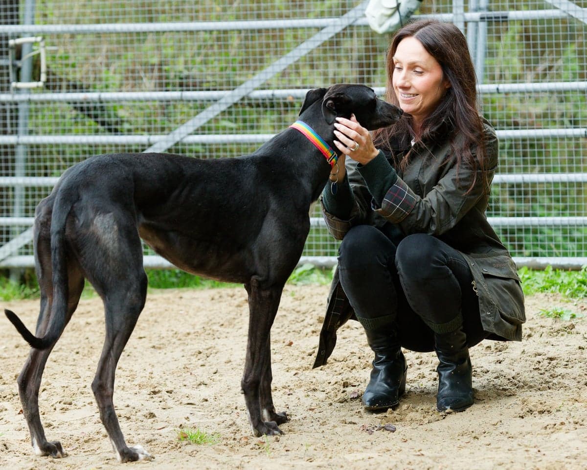 Claire James, the chief executive of Greyhound Rescue Wales, pets a black greyhound
