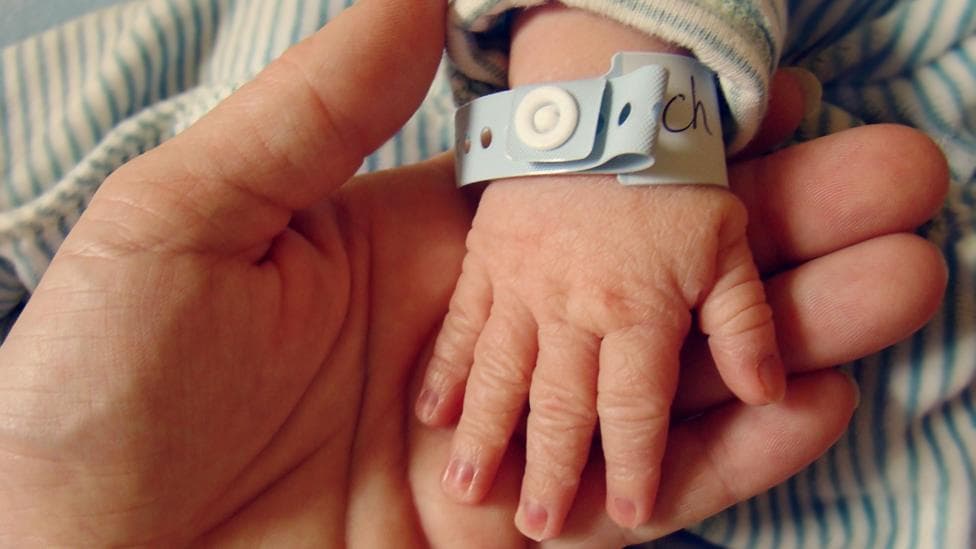 Newborn baby's hand, with a hospital identification wristband round it, resting on an adult hand.