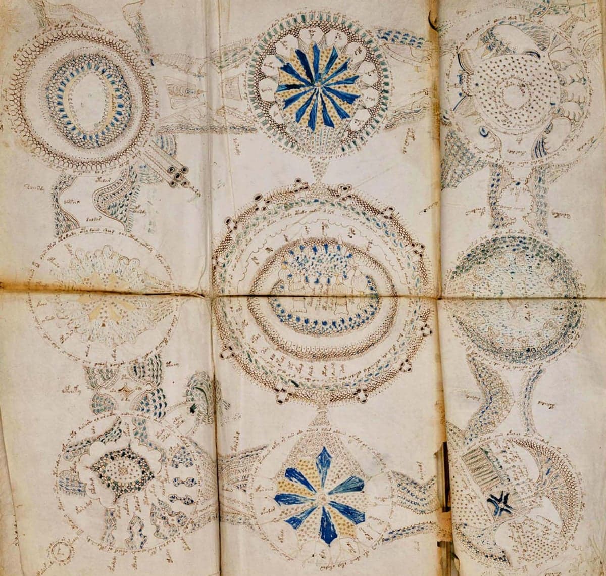 Folded page from the Voynich Manuscript.