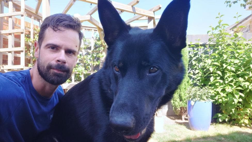 Eddie Cabrera and Frankie the German shepherd are sitting next to each other in a garden. Eddie is wearing a blue t-shirt and is taking the selfie, with Frankie in the foreground. Frankie's attention is focused on something out of frame. It is a clear and sunny day, with plants decorating the fence in the background. The duo sit underneath a wooden canopy.