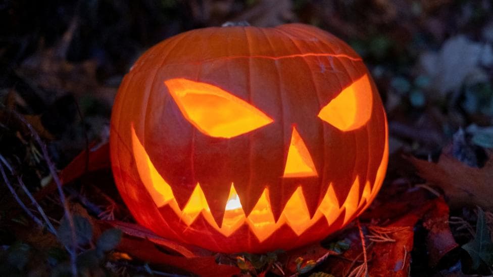 A pumpkin with a scary face on a bed of brown leaves