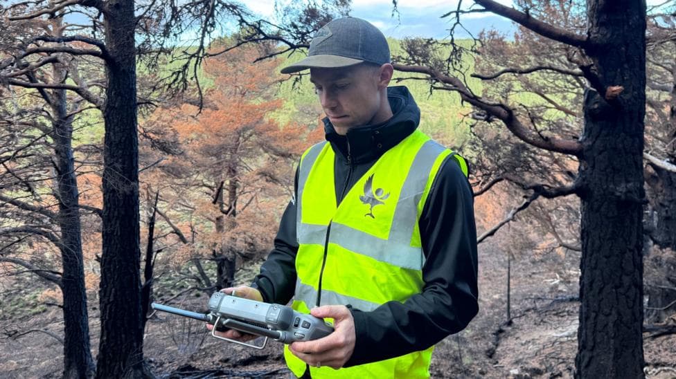 A man standing in woodland, wearing a cap and a hi-vis overall. He is holding a large remote control with a screen.