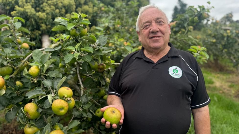 An older man, with short grey hair, wearing a black t-shirt. He is standing beside an apple tree with green apples on it. He has one green apple in his hand.