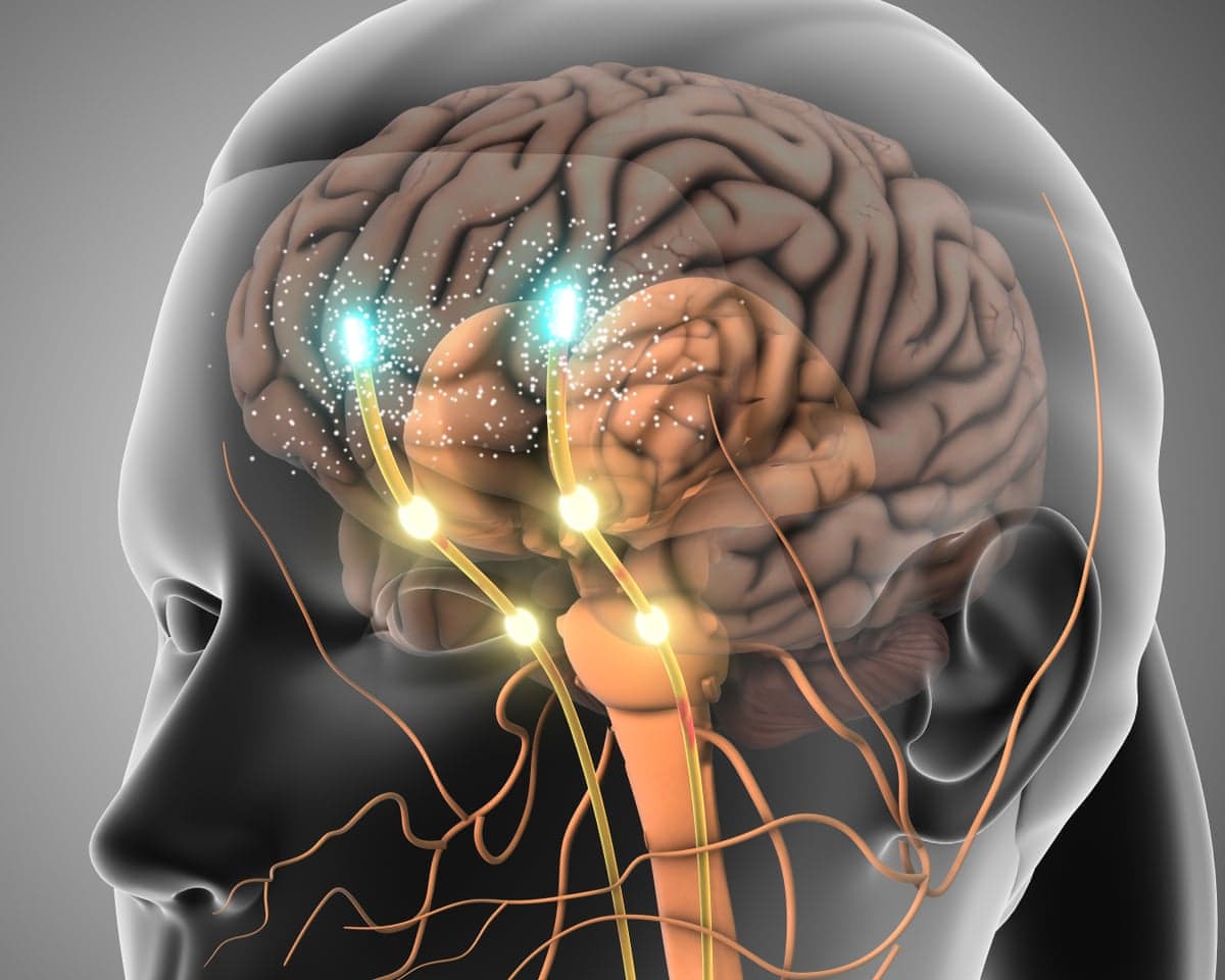 Dopamine is responsible for many effects, including mood, movement, memory, motivation, attention.