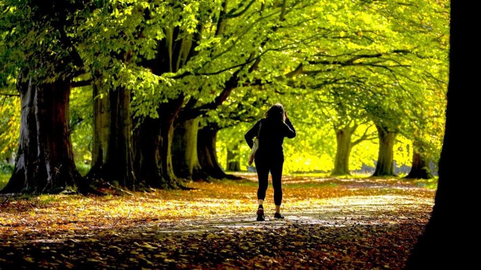 A silhouetted woman walking through amongst trees lit by sunshine, with autumn leaves on the ground.