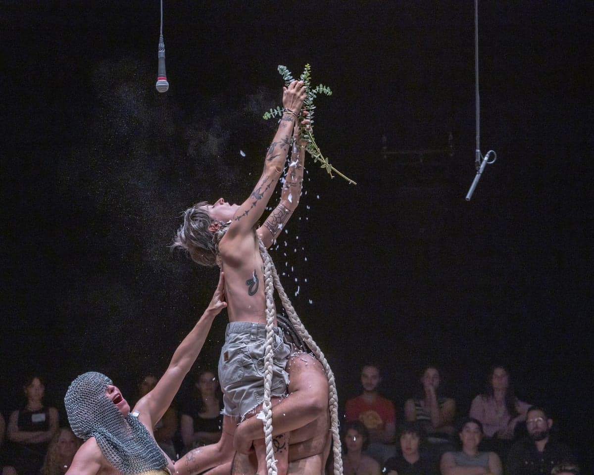 A performer is held up by two others as they reach up into the air holding some foliage