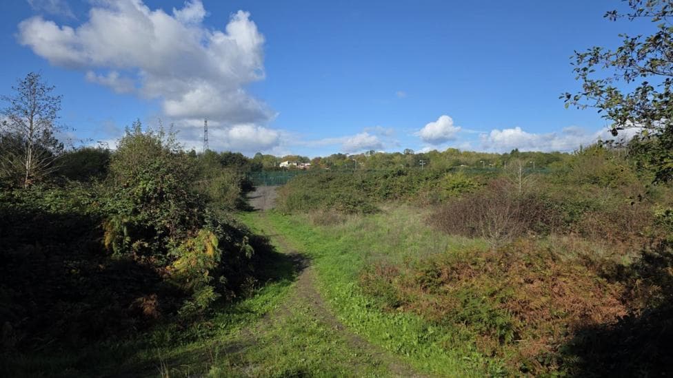 A meadow with trees and grass, with green railings in the background