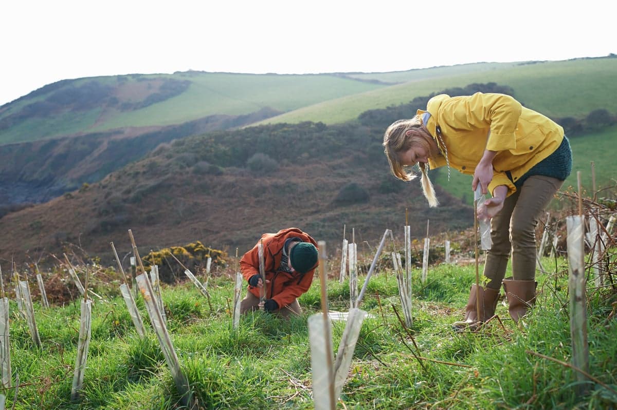 Couple planting trees in countryside.