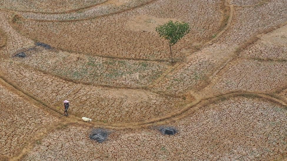 An aerial photo taken with a drone shows a shepherd herding sheep on a dried-up paddy field in Jonggol, West Java, Indonesia
